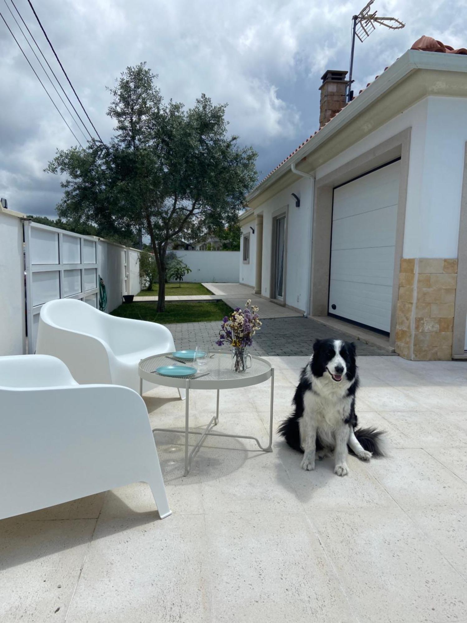 Charming Villa With Private Poll Alcobaca Exterior photo